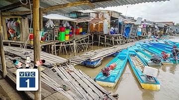 Lo sạt lở, Cà Mau di dân khẩn cấp