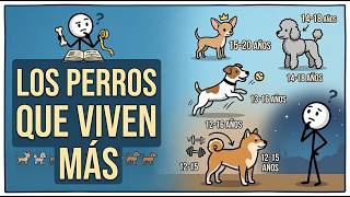 Los Perros Que Viven Más Años
