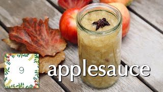 Applesauce: Holiday 2020 Countdown!