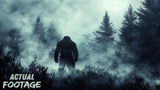 8 Chilling Bigfoot Encounters Caught on Camera