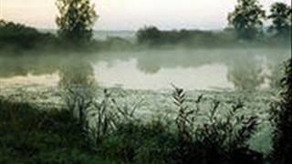 Vsemirny Den Vodno Bolotnykh Ugody