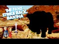 Fans strike back bantha  its finally here buckle up