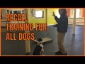 Recall Training for All Dogs How To Dog Training Recall Training for All Dogs How To Dog Training