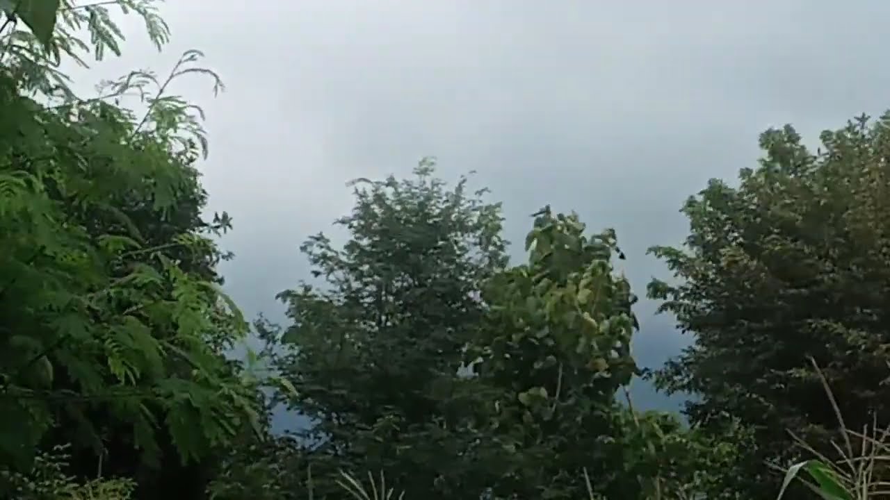 KUMPULAN LAGU RHOMA IRAMA FULL ALBUM || SYAHDU - TAK DAPAT TIDUR - SIAPA YANG PUNYA