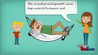 A short but creative introduction to Sleep and Shift Work
