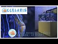 Le bac fete ses 2 ans chez occelaris   2nd partie 