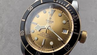 Tudor Heritage Black Bay S&G 79733N Watch Review