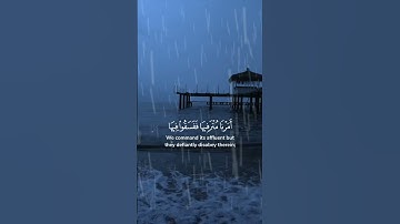 #القارئ ضياء الدين