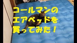 コールマンのエアーベッドと「かいくん」