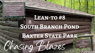 What Does Lean-to #8 Look Like