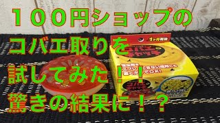 １００均のコバエ取りを使ってみたら 驚きの結果が Youtube