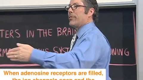 Jay Phelan, Caffeine Lecture Video