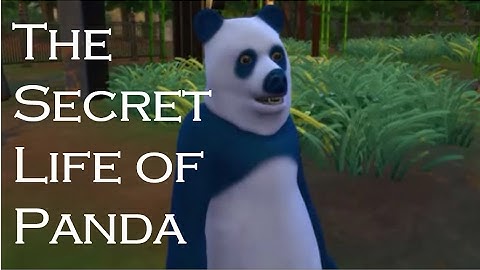 The Secret Life of Pandas - Sims 4 Music Video