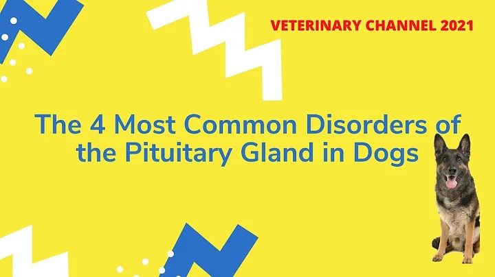 What hormones does the pituitary gland produce dog? (2023)