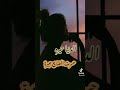 حيرتني الدنيه حيره حسرت الضيع جبيره