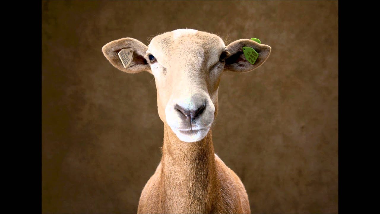 Boy Kid Cloud - From The Start