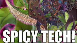 Sacred Beast Draitron Deck - Secret Spicy Tech!