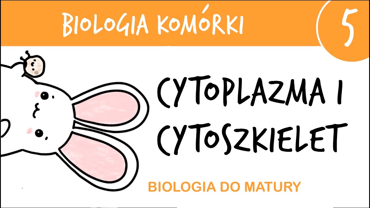 Cytologia 5 - Cytoszkielet i cytoplazma- biologia matura poziom