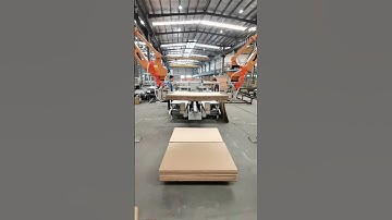 Hey! See it two STEP robots working together for palletizing #robot #automation #vietnam #russia