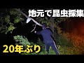 クワガタの主がいると噂されたポイントに大人になって見に行った結果