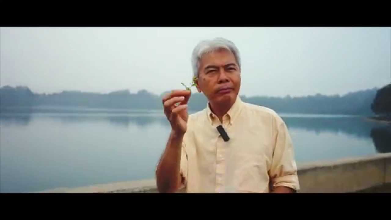 Is it okay for Christians to do Tai-Chi?