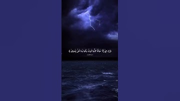 الشيخ ياسر الدوسري-سورة المؤمنون / #اكسبلور #holyquran #اجر_لي_ولك #القرآن_الكريم #ياسر_الدوسري