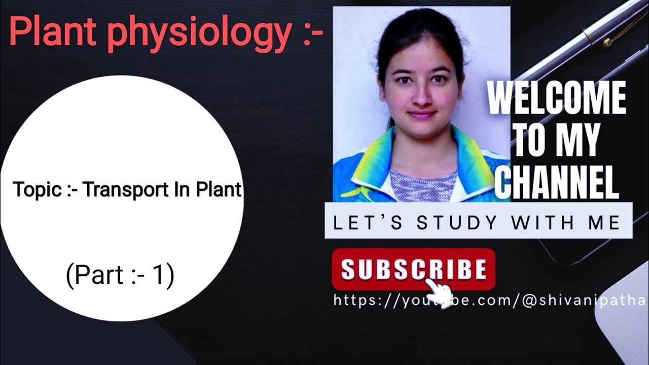 Plant physiology / Transport In Plant - YouTube