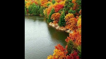 سورة الفتح سورة (٤٨) الآية (٢٩) Fath surasi, sura (48), oyat (29)