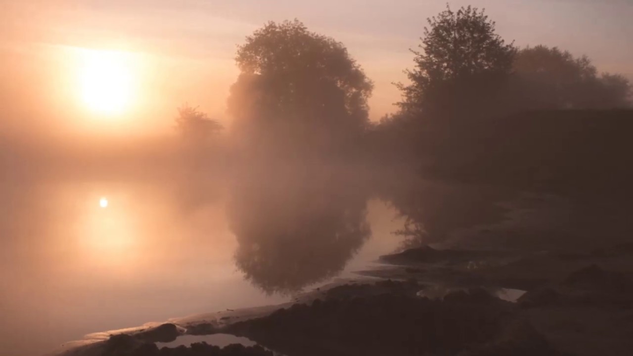 НА РАССВЕТЕ ЧТО-ТО СЕРДЦЕ ГЛОЖЕТ...(Фото Евг. Рыженкова (Рязань ...