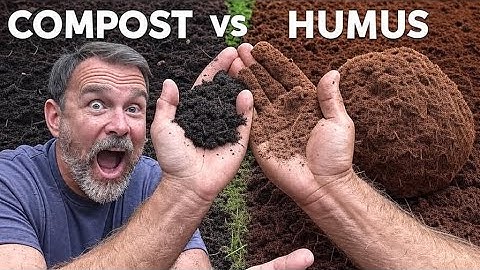 Humus vs Compost—What’s the Real Difference and Which One Builds Soil Faster