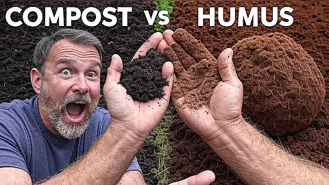 Humus vs Compost—What’s the Real Difference and Which One Builds Soil Faster