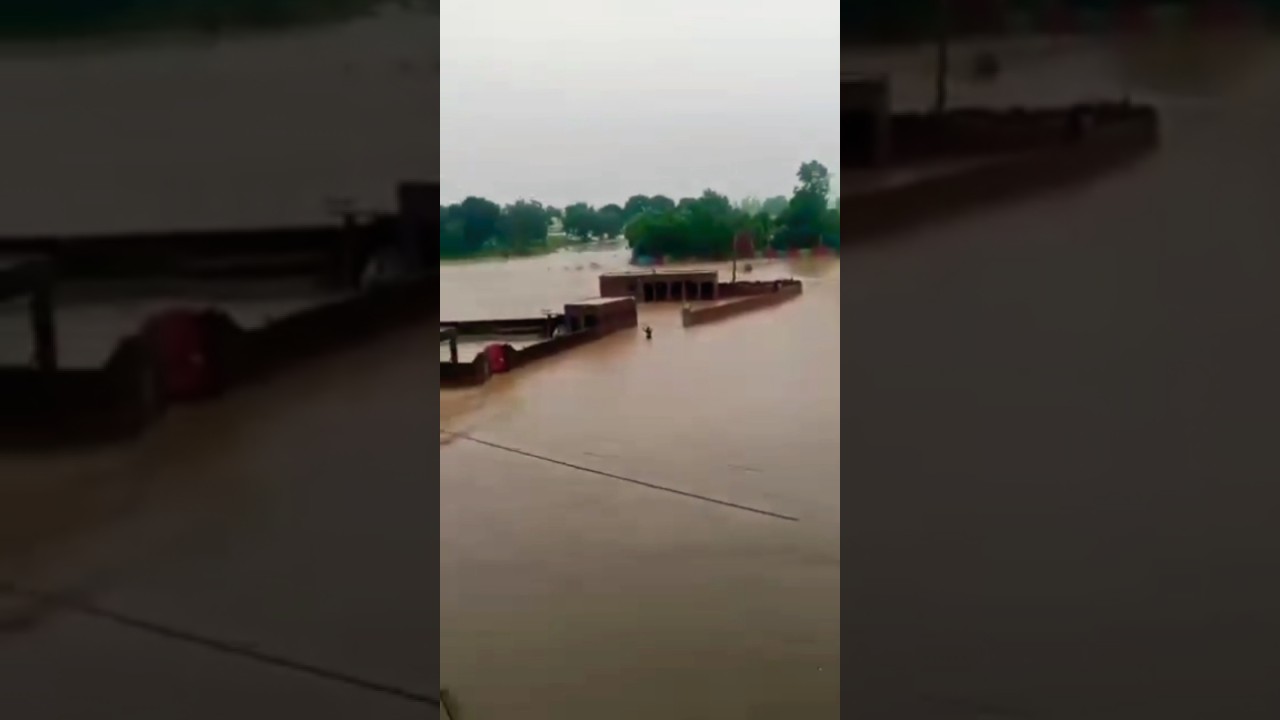 flood torrent in Nullah Dek has caused havoc in the areas of Zafarwal, Pakistan 