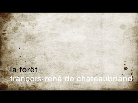 Vidéo: Sentiment De La Forêt