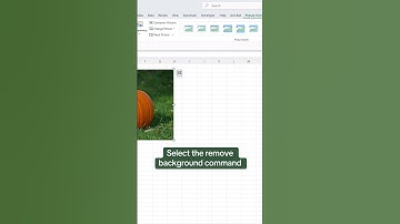 How to remove an image’s background in Excel. 🤯 #excel #tutorial #photoshop