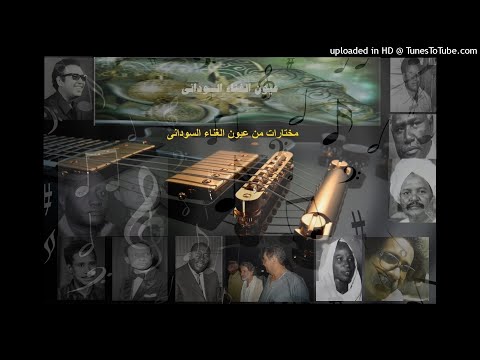 محمد وردى وصلاح أحمد إبراهيم الطير المهاجر 