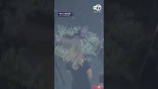 Fans leave flowers on Dolly Partons Hollywood Walk Of Fame Star after her death