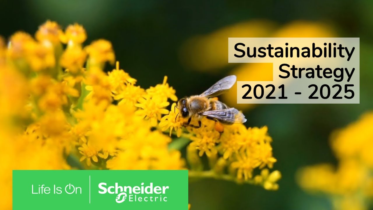 Sustainability Strategy 2021-2025 | Schneider Electric