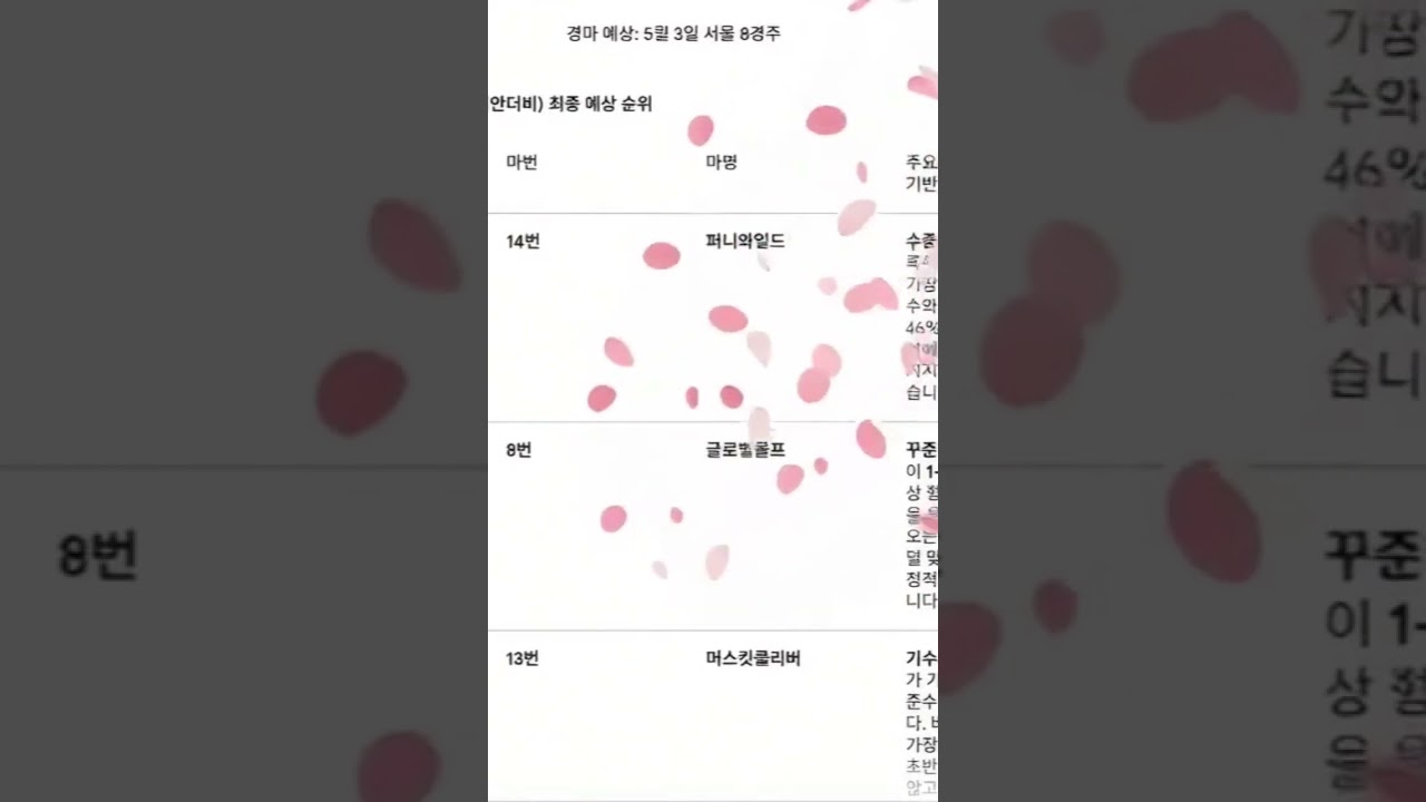 경마 5월3일 8경주 제29회 코리안더비 예상