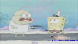 [2002] As Seen On TV (Flower Screenbug)
