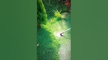 Grass Cutting Machine – Good Tools and Machinery Can Increase Work Efficiency