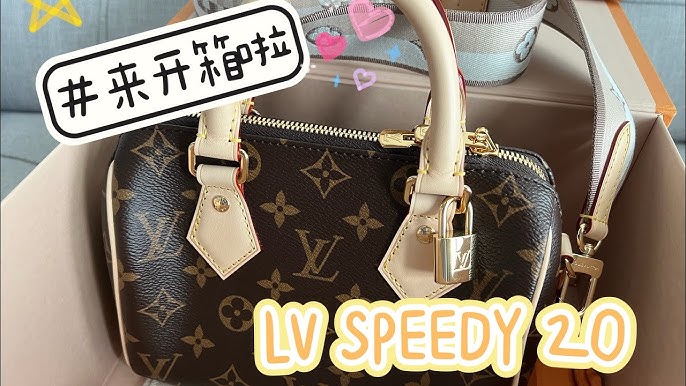 Louis Vuitton Speedy 20 Insert Issue • Should you use a bag organizer? +  detailed what's in my bag 