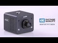 ZowieCam - Zowietek 4K NDI|HX3 POV Camera PoE, HDMI &amp; SDI Output, RTSP/RTMP(s)/SRT,  Live Streaming