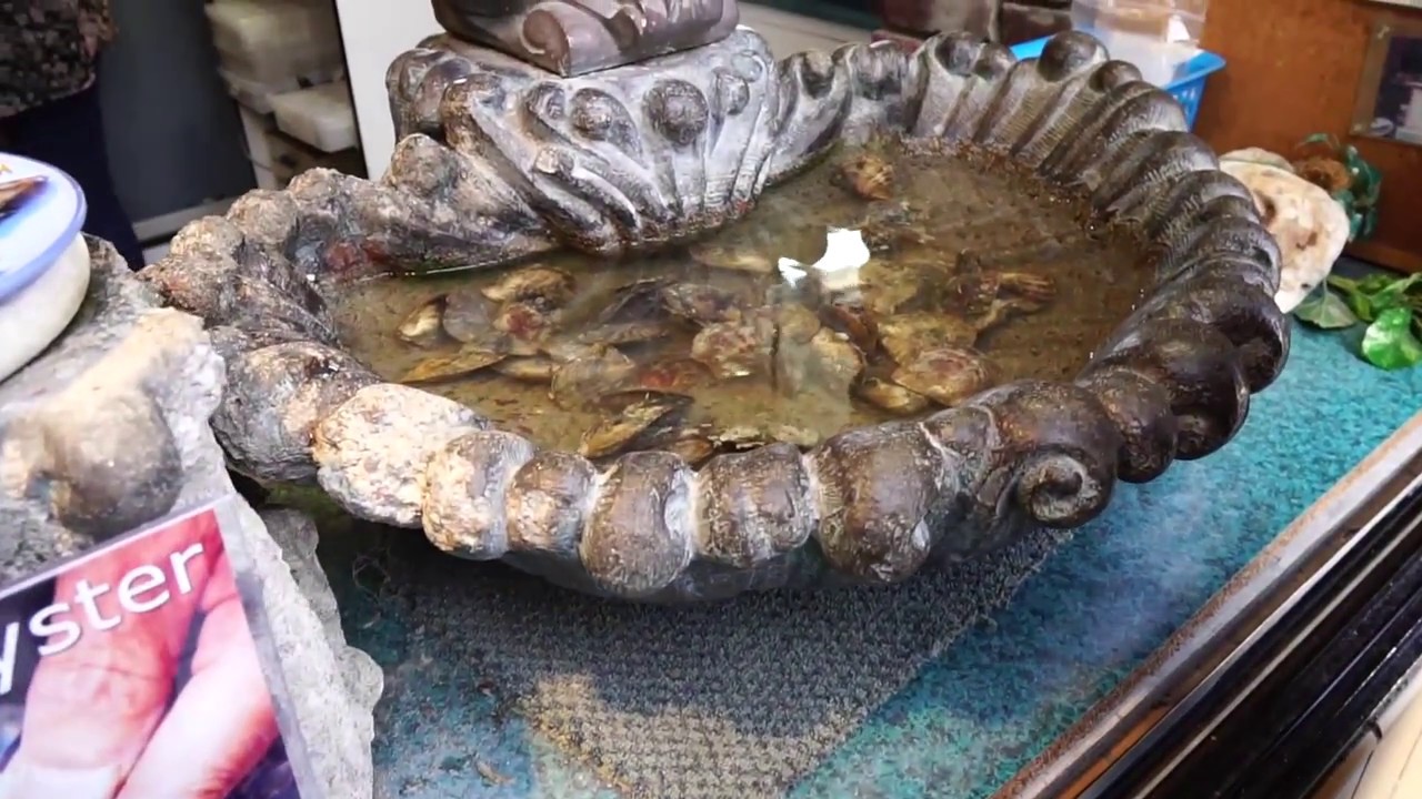 Opening a Pearl Oyster and Setting a neckless YouTube