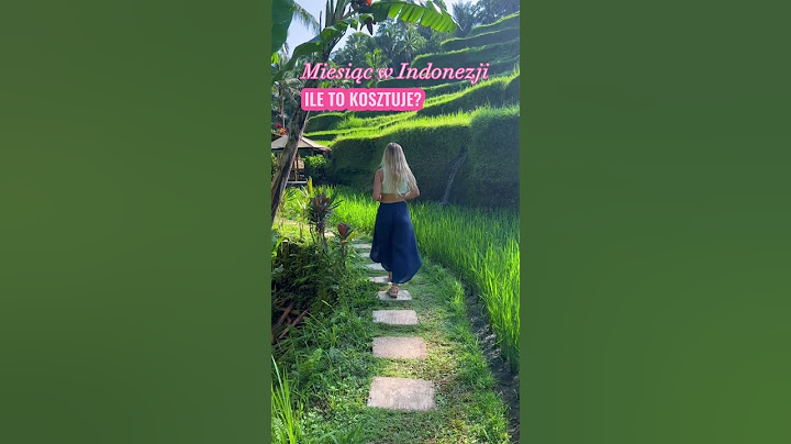 ILE KOSZTUJE 28dni w INDONEZJI? 🤯Sprawdź pierwszy komentarz. #indonezja #bali #lombok #podsumowanie
