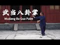 Wudang kung fu bagua zhang  ba gua palm  