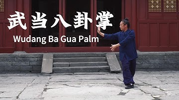 Wudang Kung Fu Bagua Zhang | Ba Gua Palm | 武当八卦掌