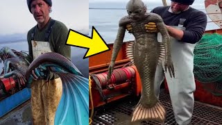 Download Lagu SIRENA REAL CAPTADA por primera vez en 2025 #56  | Laguna Negra MP3