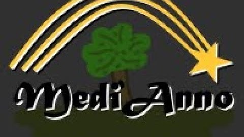 MediAnno - Graphics Programming DirectX 11