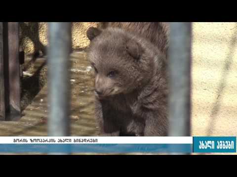 გორის ზოოპარკის ახალი ბინადრები 23.03.2017