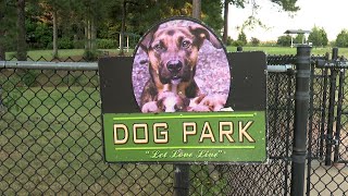SPCA Albrecht Center hosts Yappy Hour to find ‘furever’ home